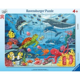 Puzzle Tip Rama Animale Marine, 30 Piese Ravensburger - 1